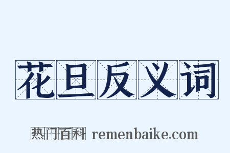 花旦反义词是什么意思的图片